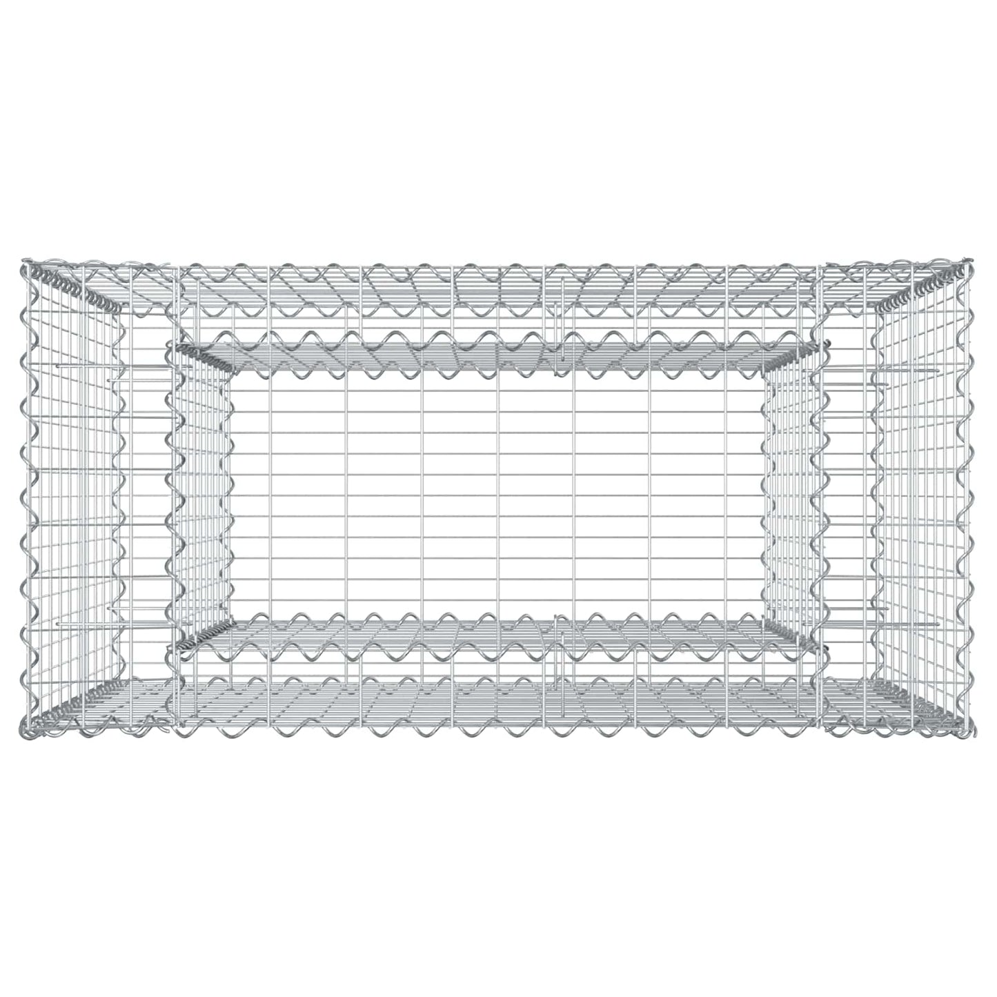 Gabion Verhoogd Bed Zilver 50 x 100 x 100 cm