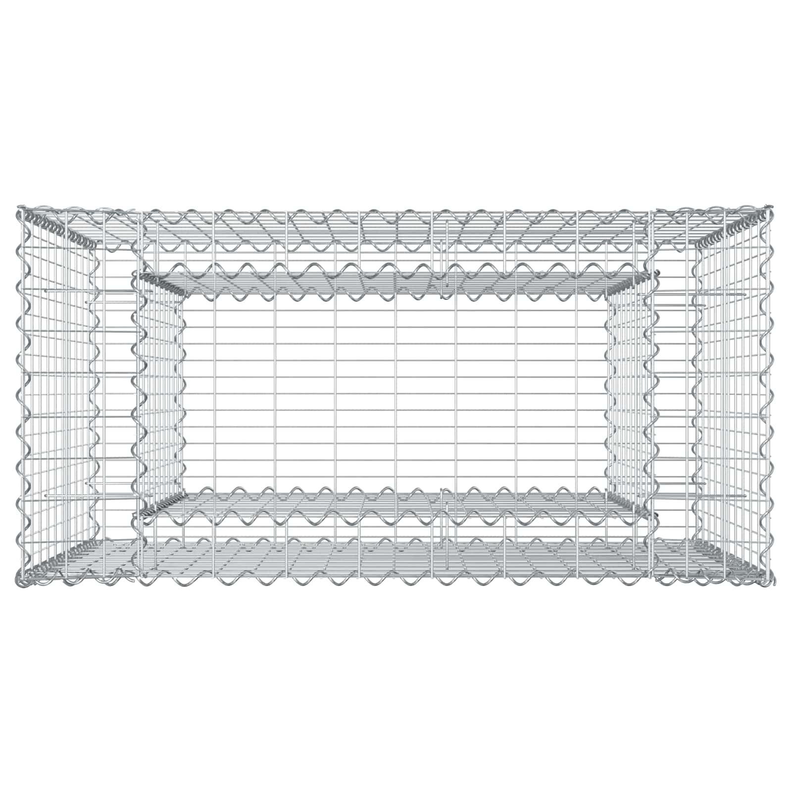 Gabion Verhoogd Bed Zilver 50 x 100 x 100 cm