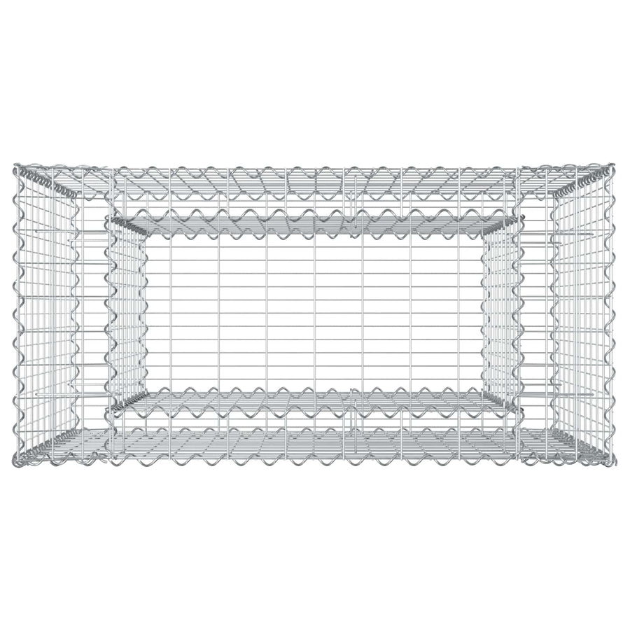 Gabion Verhoogd Bed Zilver 50 x 100 x 100 cm