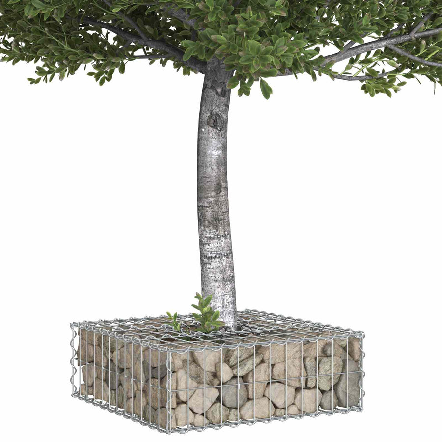 Gabion Verhoogd Bed Zilver 60 x 60 x 20 cm Gegalvaniseerd staal