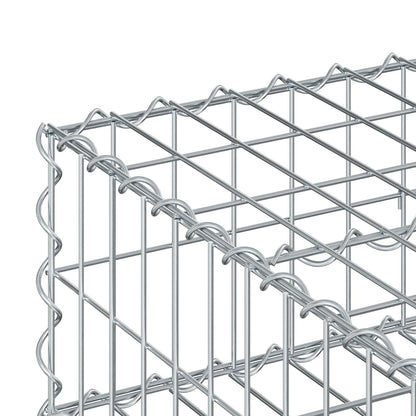 Gabion Verhoogd Bed Zilver 100 x 100 x 20 cm