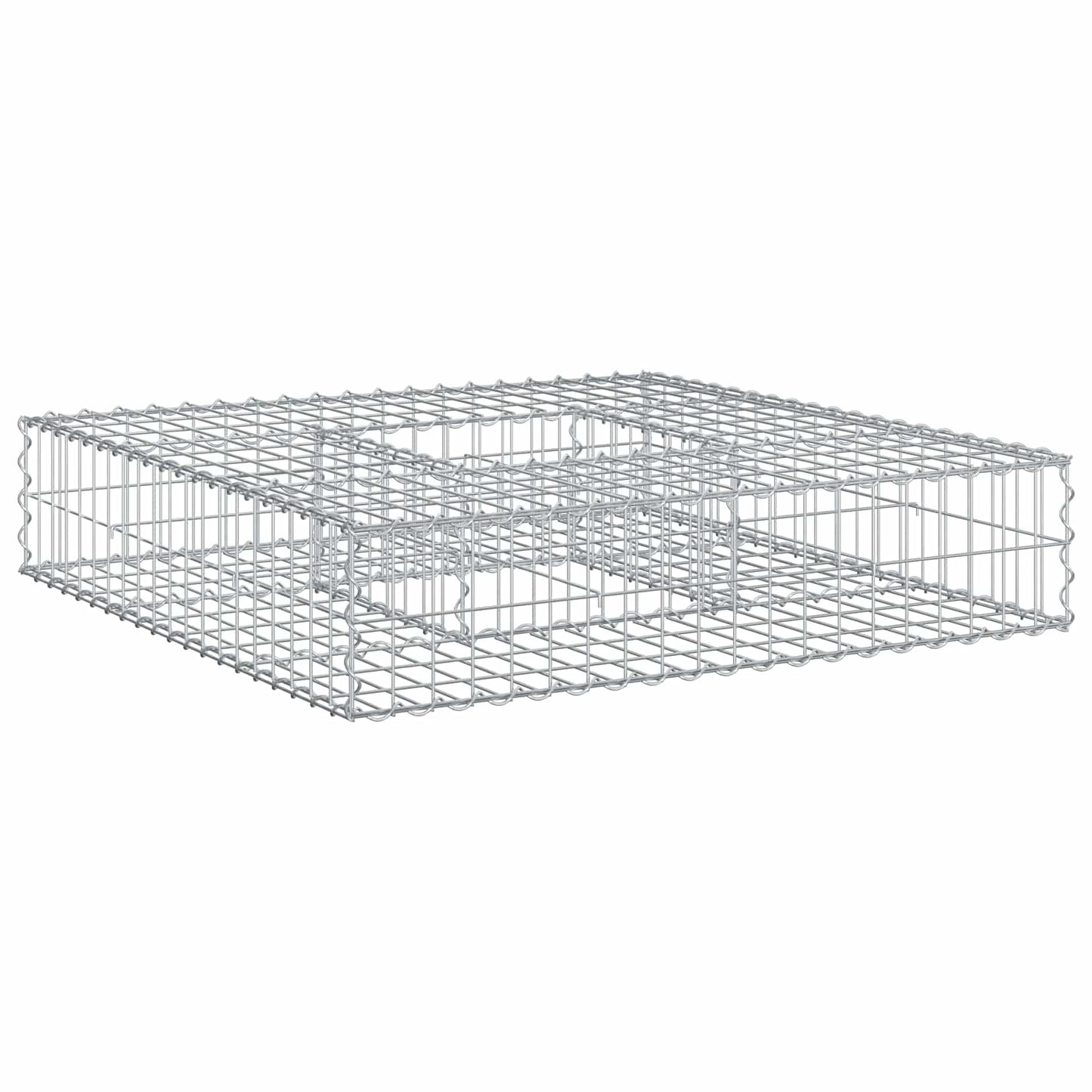 Gabion Verhoogd Bed Zilver 100 x 100 x 20 cm