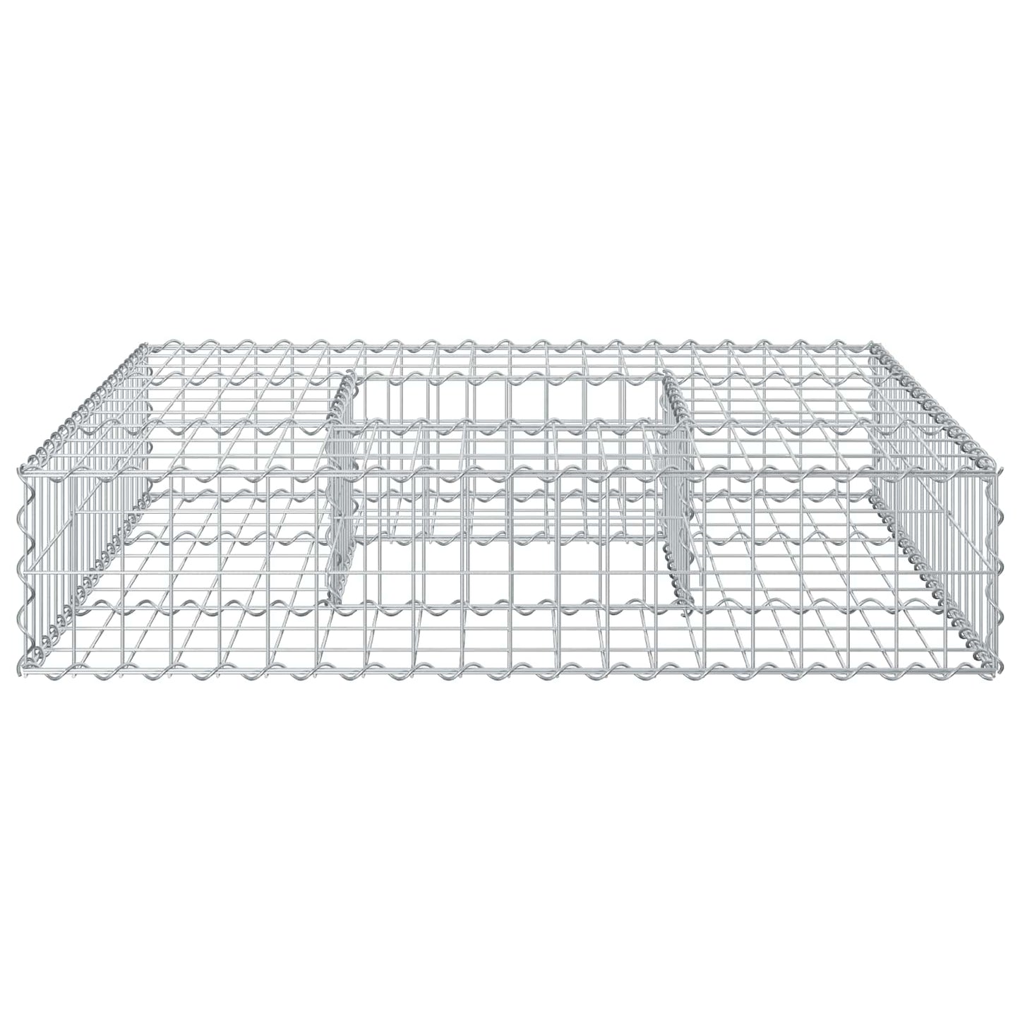 Gabion Verhoogd Bed Zilver 100 x 100 x 20 cm
