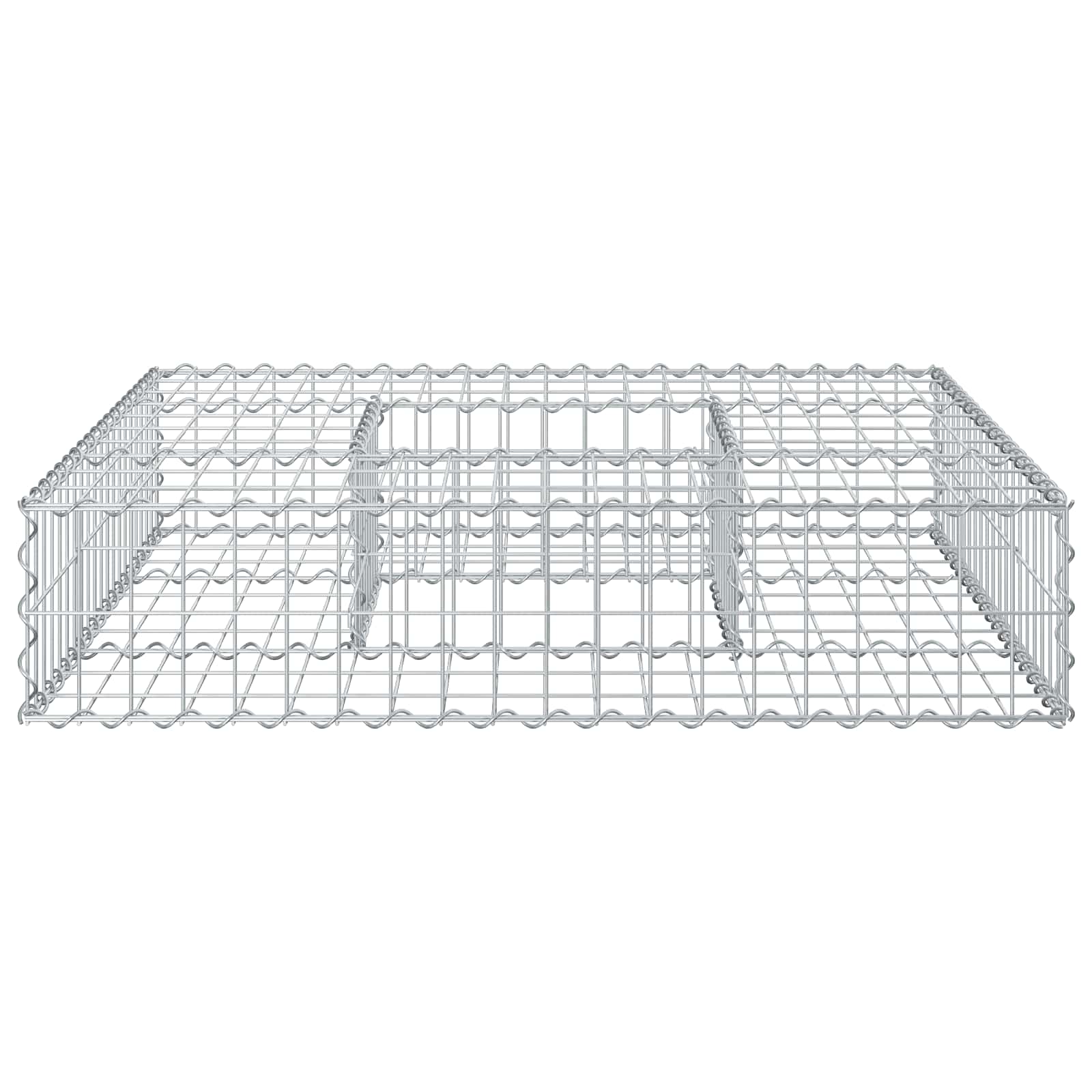 Gabion Verhoogd Bed Zilver 100 x 100 x 20 cm