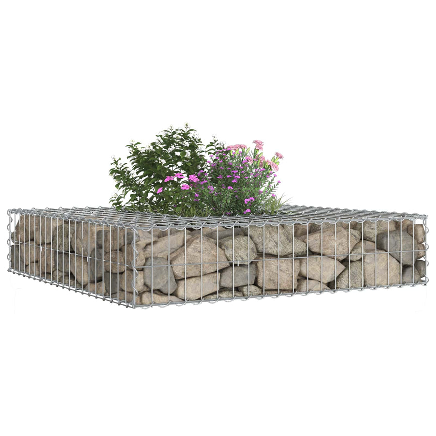 Gabion Verhoogd Bed Zilver 100 x 100 x 20 cm