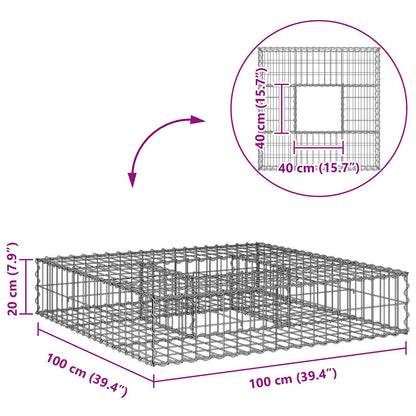 Gabion Verhoogd Bed Zilver 100 x 100 x 20 cm