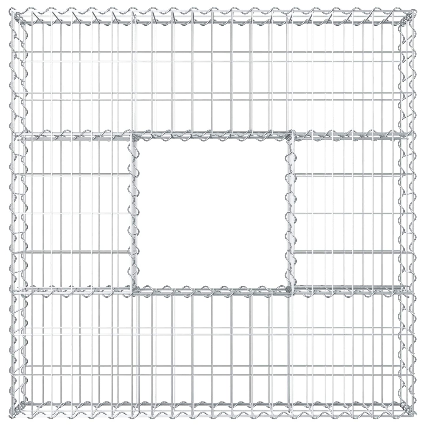 Gabion Verhoogd Bed Zilver 100 x 100 x 20 cm