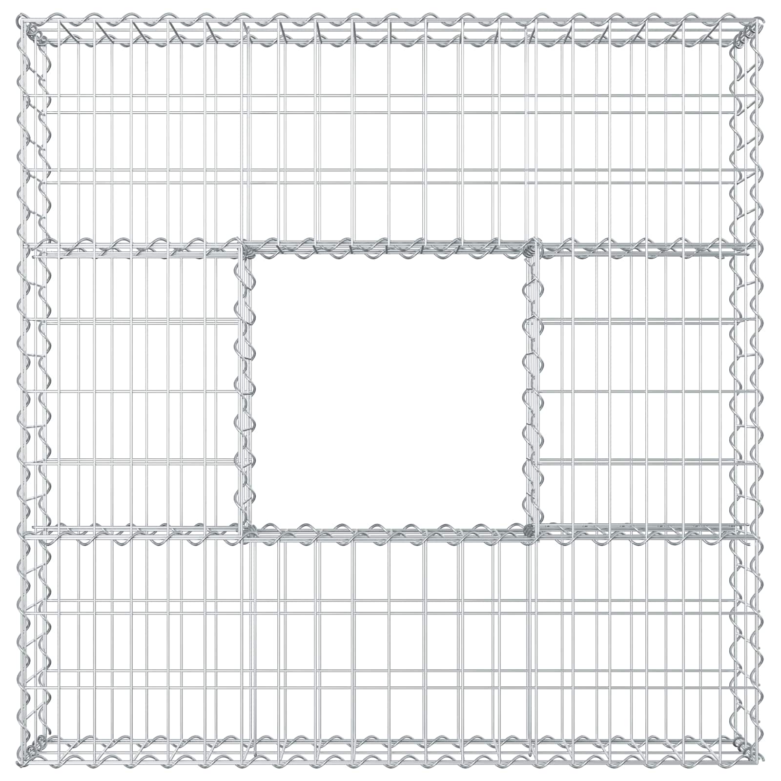 Gabion Verhoogd Bed Zilver 100 x 100 x 20 cm