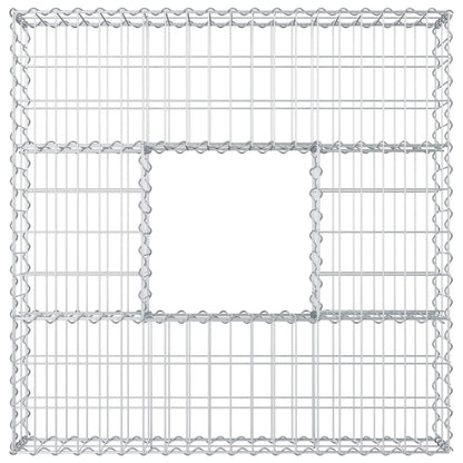 Gabion Verhoogd Bed Zilver 100 x 100 x 20 cm