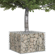 Gabion Verhoogd Bed Zilver 60 x 60 x 40 cm Gegalvaniseerd staal