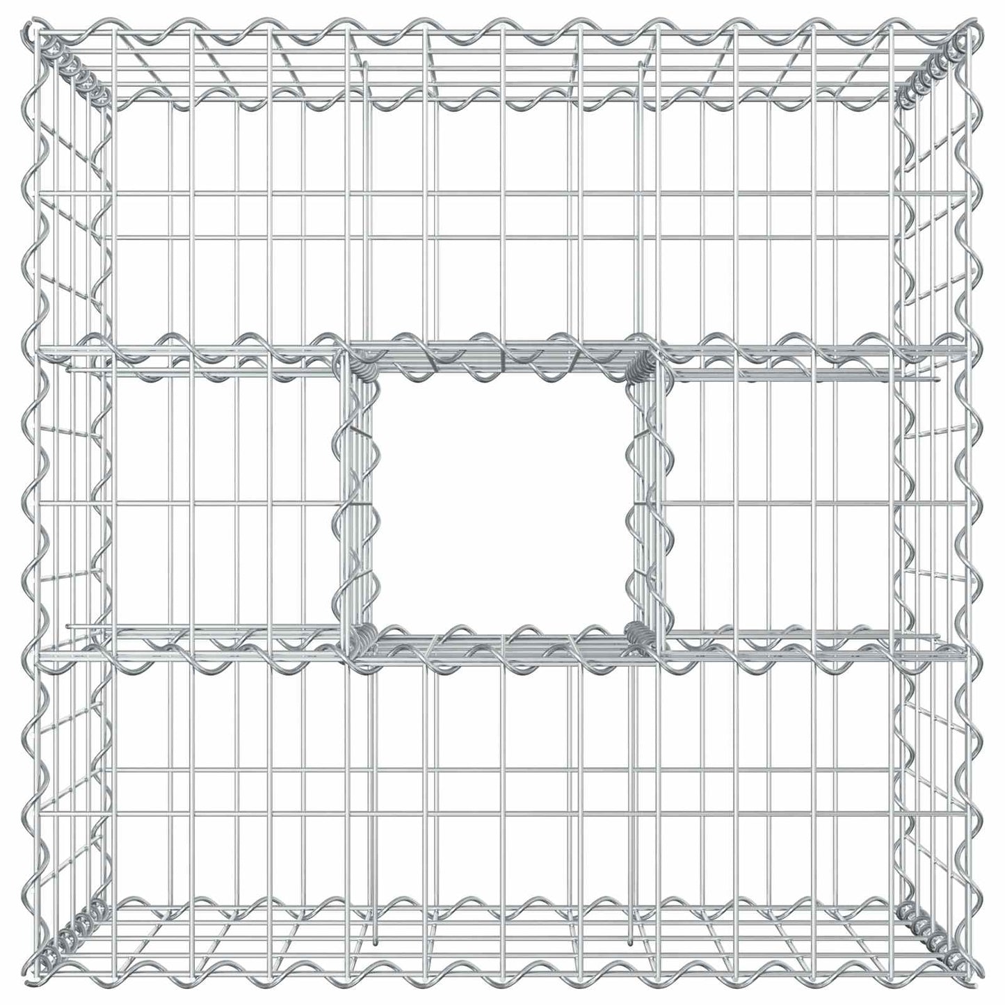 Gabion Verhoogd Bed Zilver 60 x 60 x 40 cm Gegalvaniseerd staal