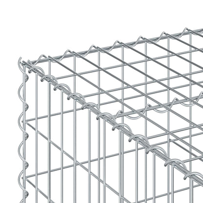 Gabion Verhoogd Bed Zilver 100 x 100 x 40 cm