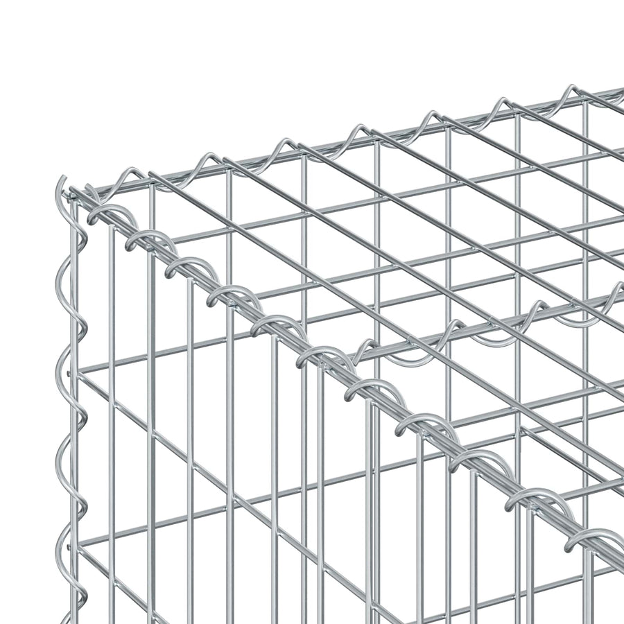 Gabion Verhoogd Bed Zilver 100 x 100 x 40 cm