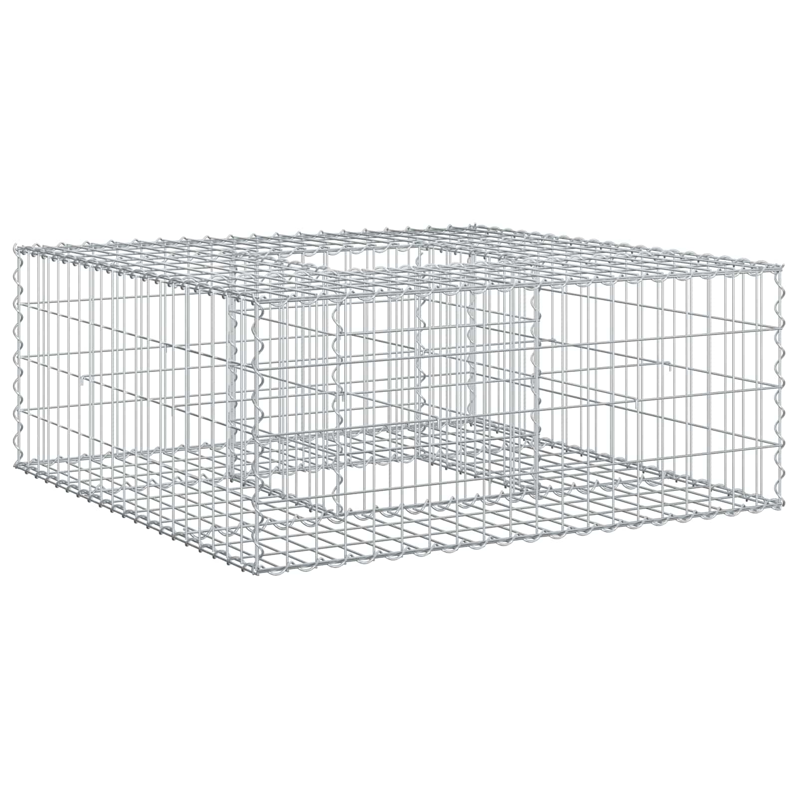 Gabion Verhoogd Bed Zilver 100 x 100 x 40 cm