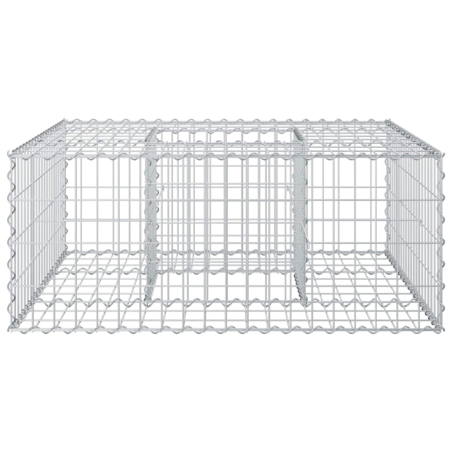 Gabion Verhoogd Bed Zilver 100 x 100 x 40 cm