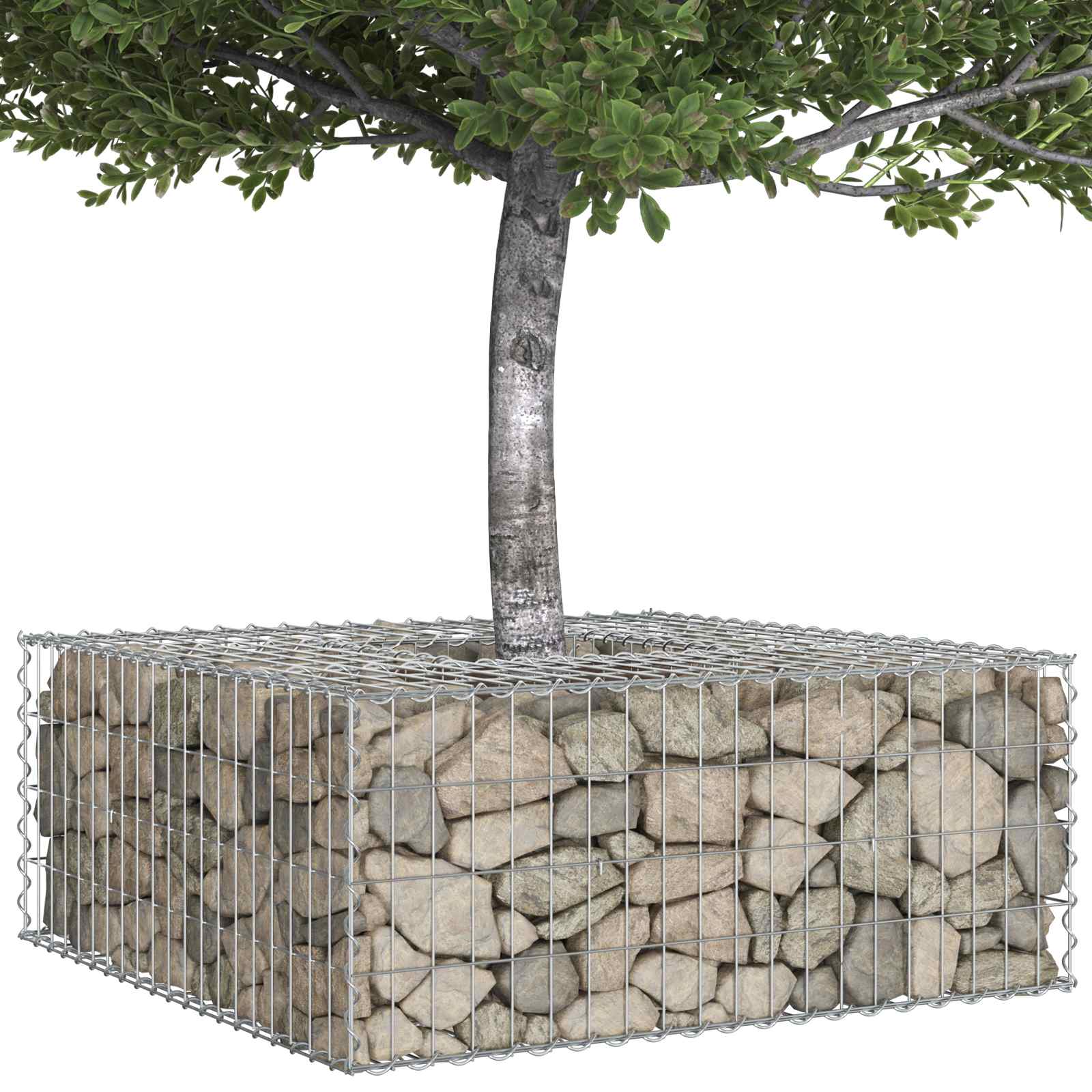 Gabion Verhoogd Bed Zilver 100 x 100 x 40 cm