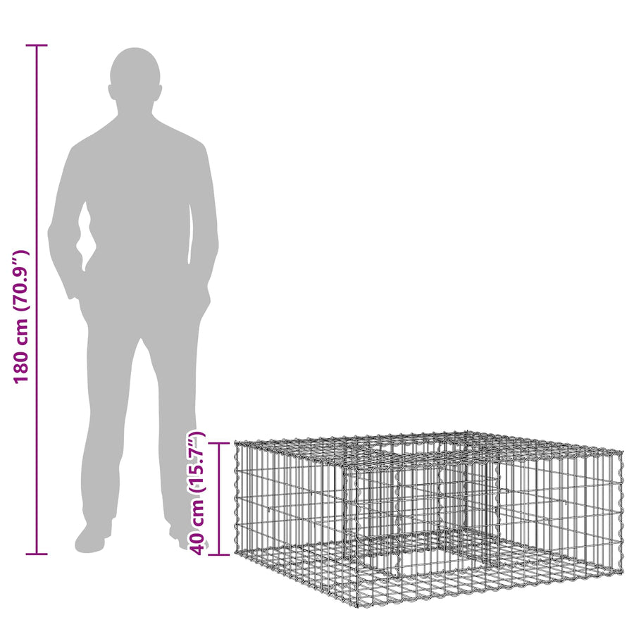 Gabion Verhoogd Bed Zilver 100 x 100 x 40 cm