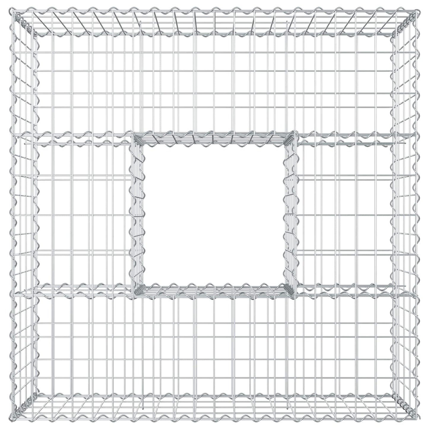 Gabion Verhoogd Bed Zilver 100 x 100 x 40 cm