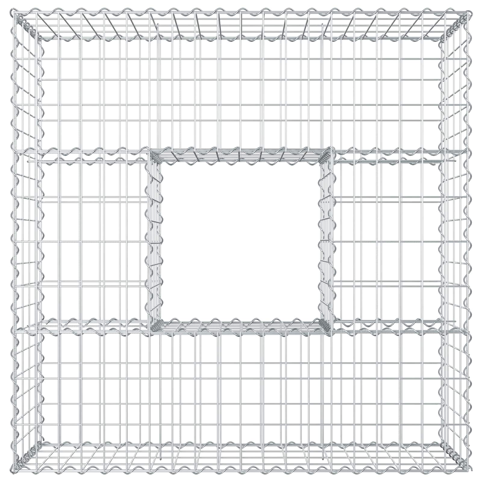 Gabion Verhoogd Bed Zilver 100 x 100 x 40 cm