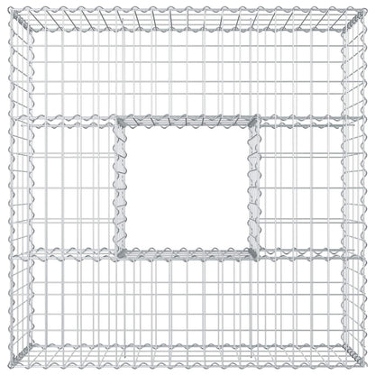 Gabion Verhoogd Bed Zilver 100 x 100 x 40 cm