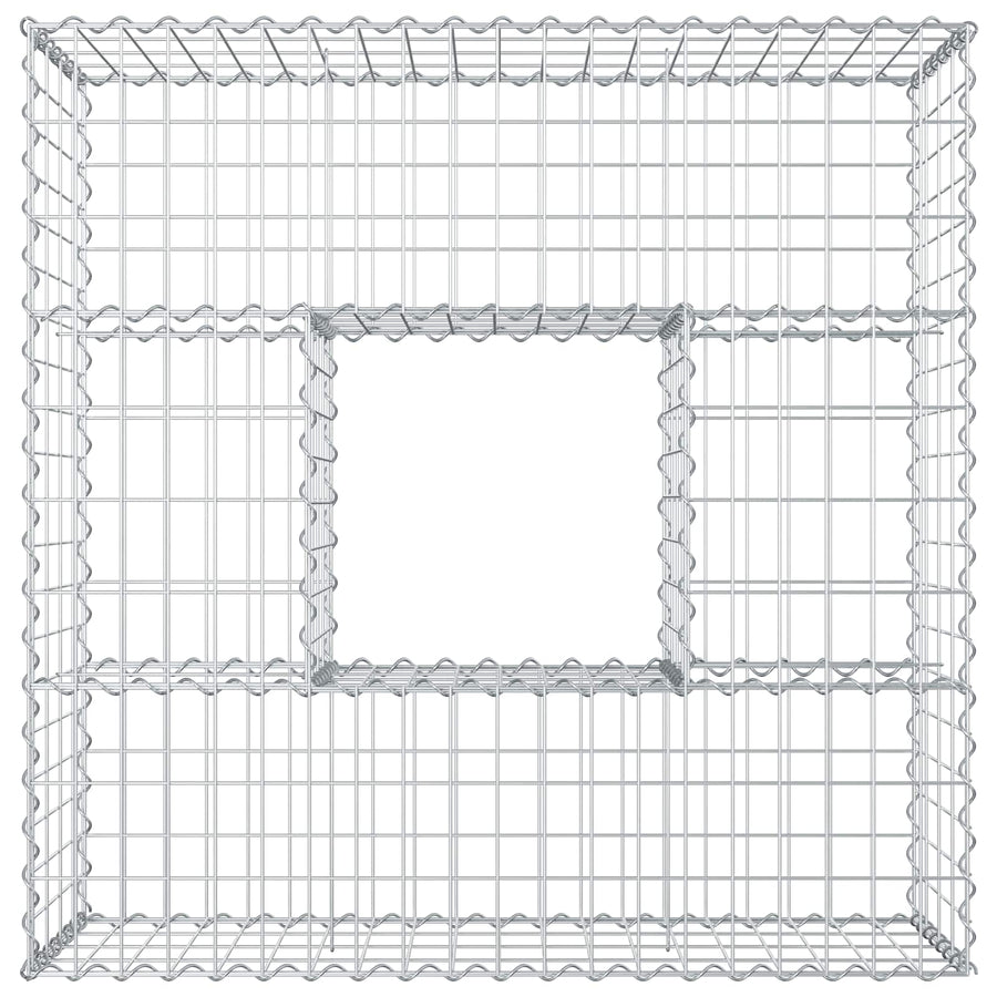 Gabion Verhoogd Bed Zilver 100 x 100 x 40 cm