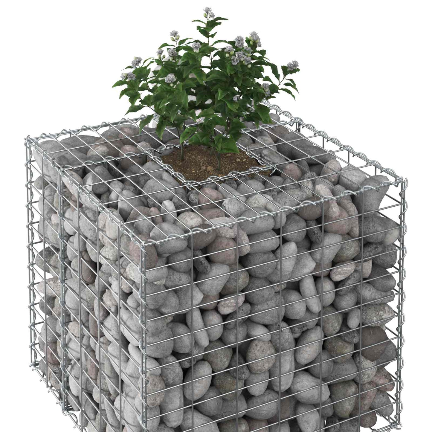 Gabion Verhoogd Bed Zilver 60 x 60 x 55 cm Gegalvaniseerd staal