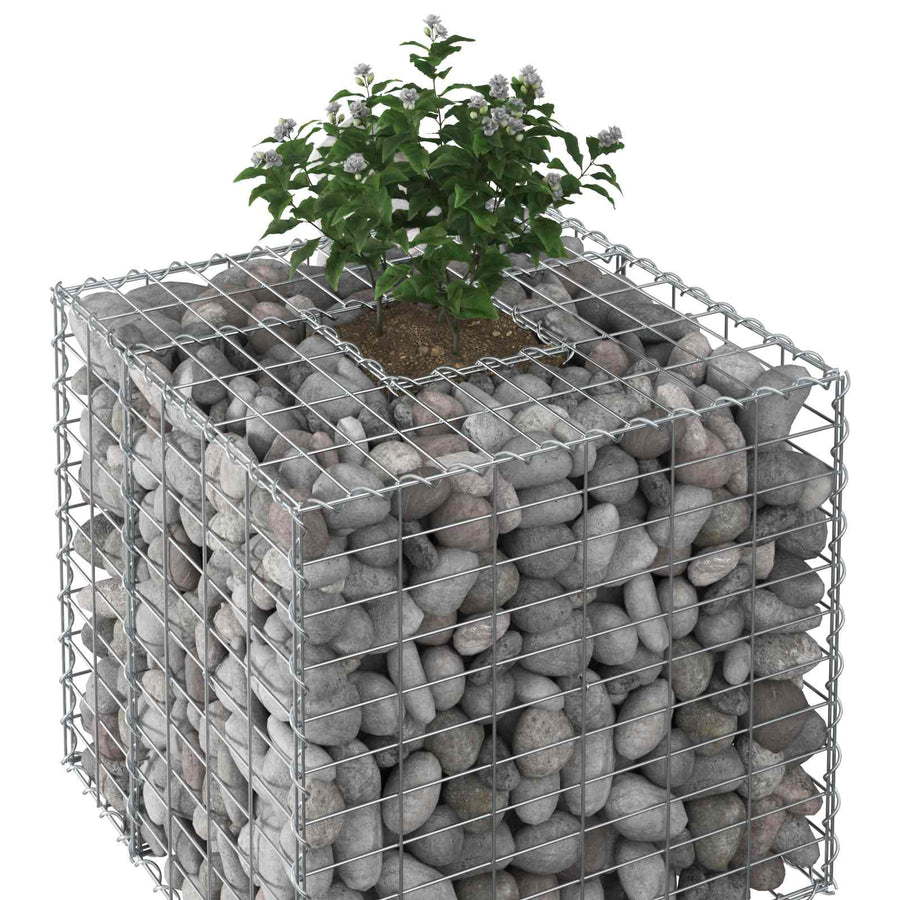 Gabion Verhoogd Bed Zilver 60 x 60 x 55 cm Gegalvaniseerd staal
