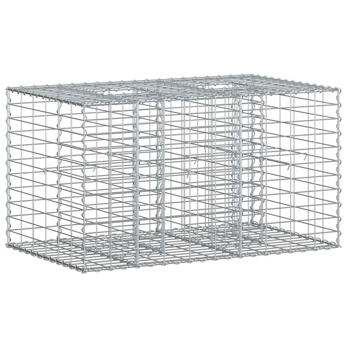 Gabion Verhoogd Bed Zilver 100 x 60 x 55 cm