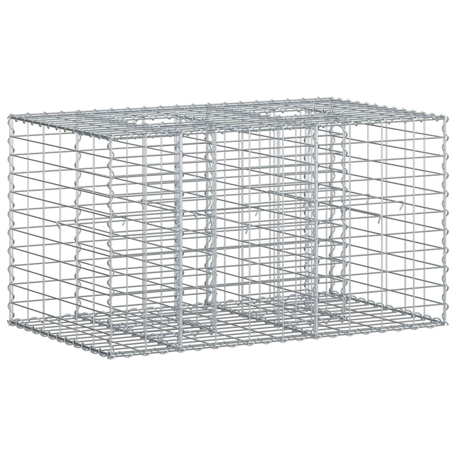 Gabion Verhoogd Bed Zilver 100 x 60 x 55 cm