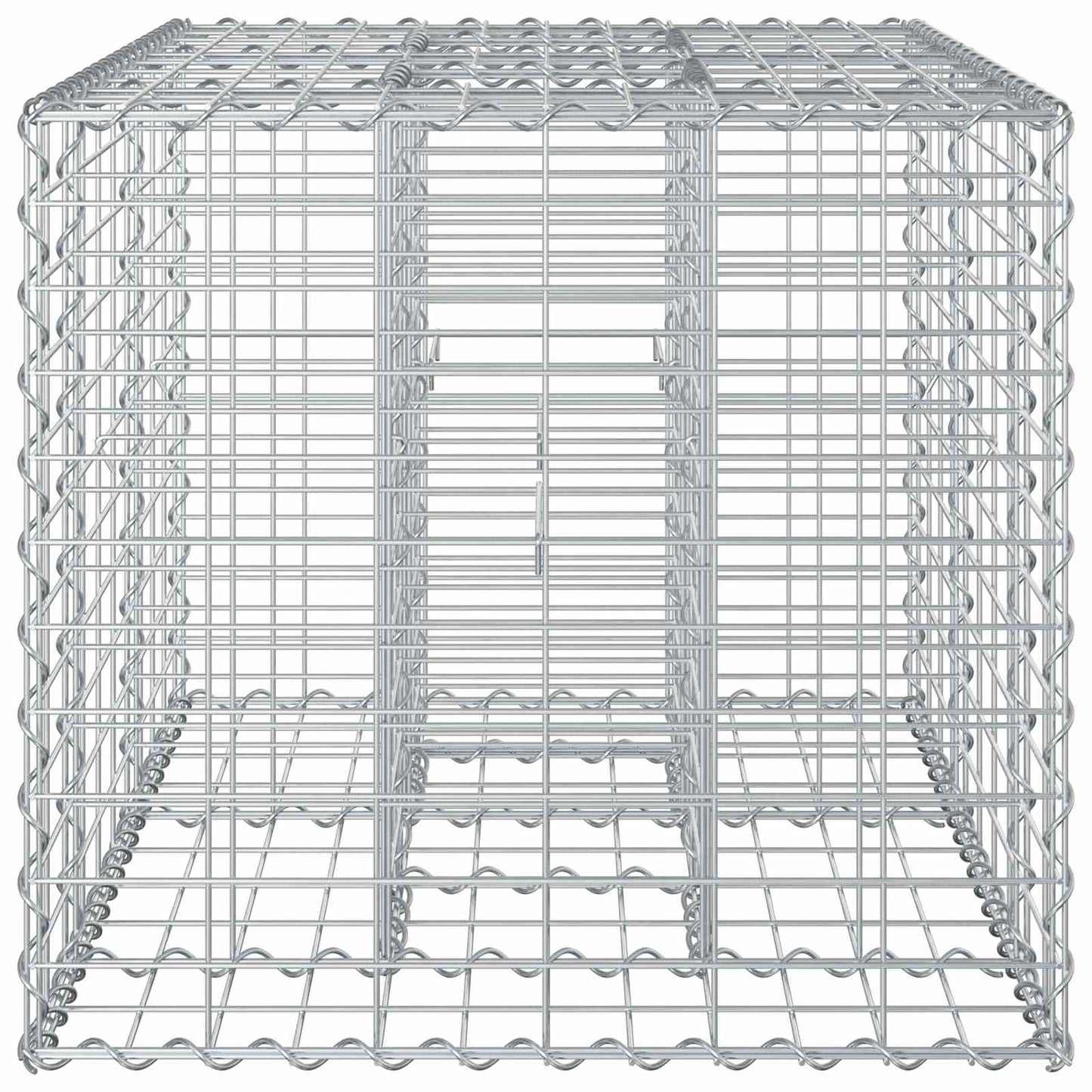 Gabion Verhoogd Bed Zilver 100 x 60 x 55 cm