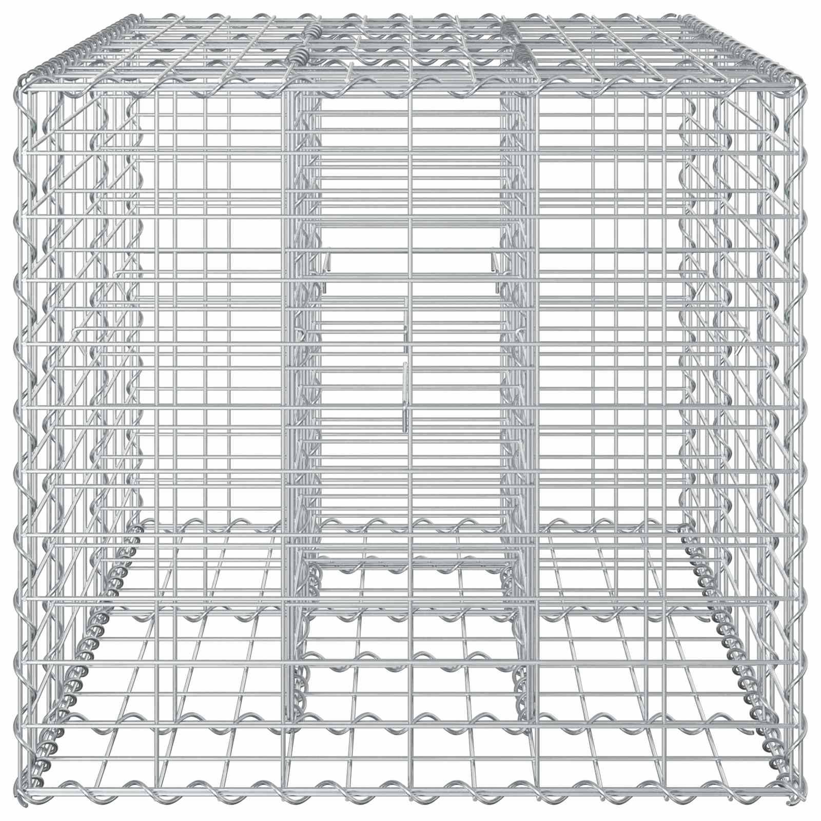 Gabion Verhoogd Bed Zilver 100 x 60 x 55 cm