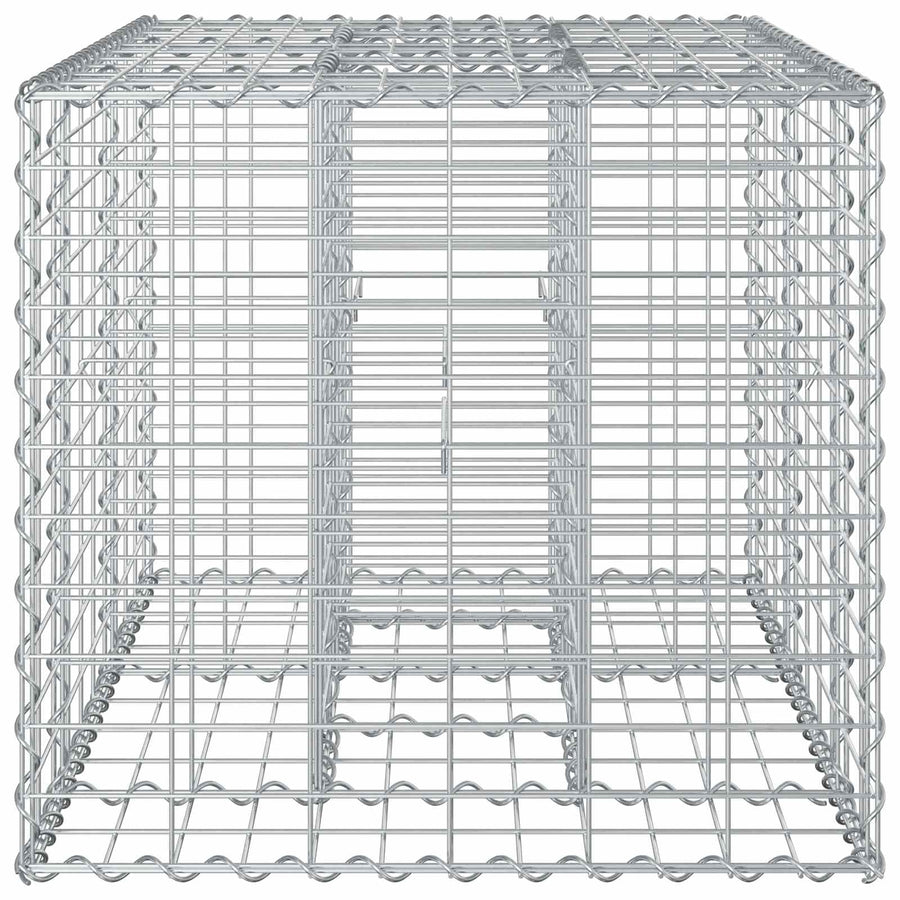 Gabion Verhoogd Bed Zilver 100 x 60 x 55 cm