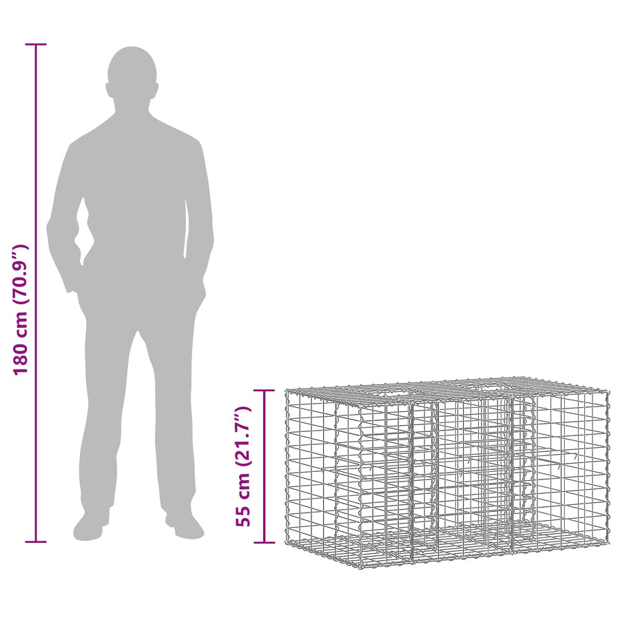 Gabion Verhoogd Bed Zilver 100 x 60 x 55 cm