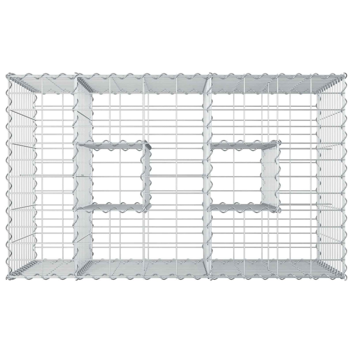 Gabion Verhoogd Bed Zilver 100 x 60 x 55 cm
