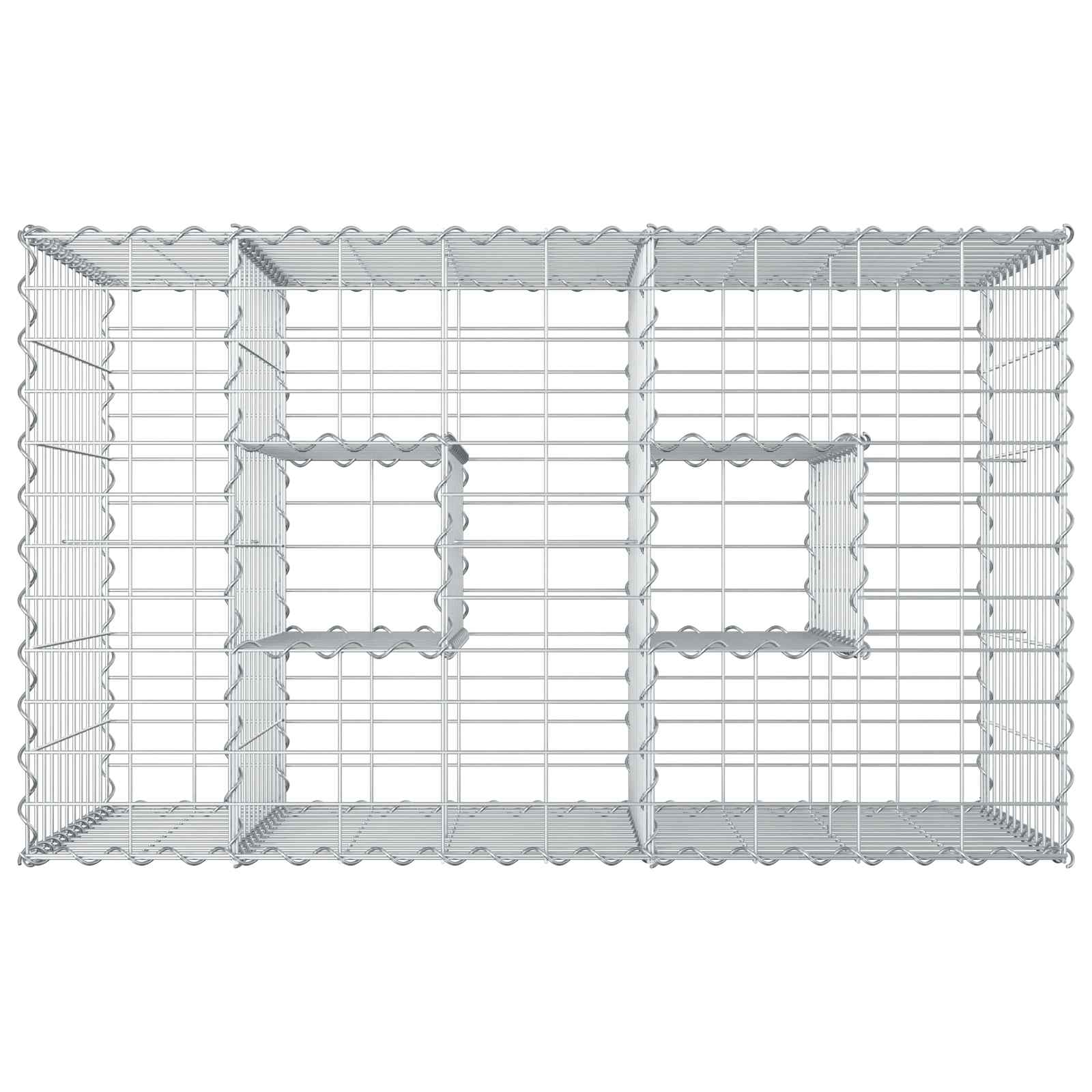 Gabion Verhoogd Bed Zilver 100 x 60 x 55 cm