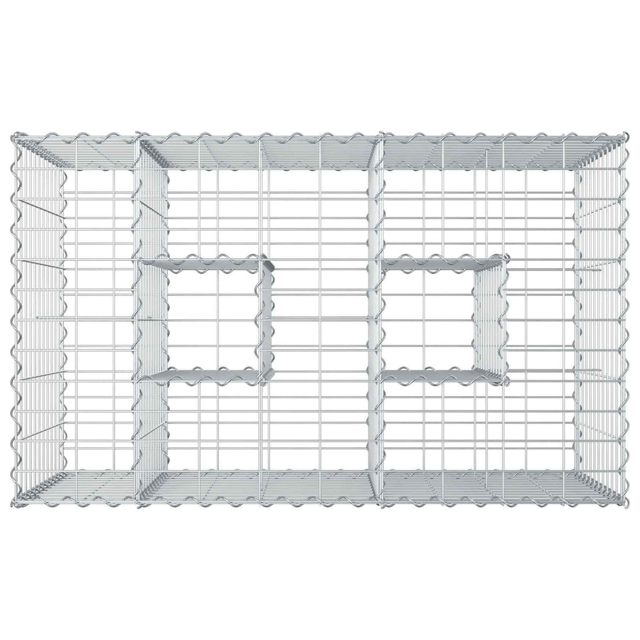 Gabion Verhoogd Bed Zilver 100 x 60 x 55 cm