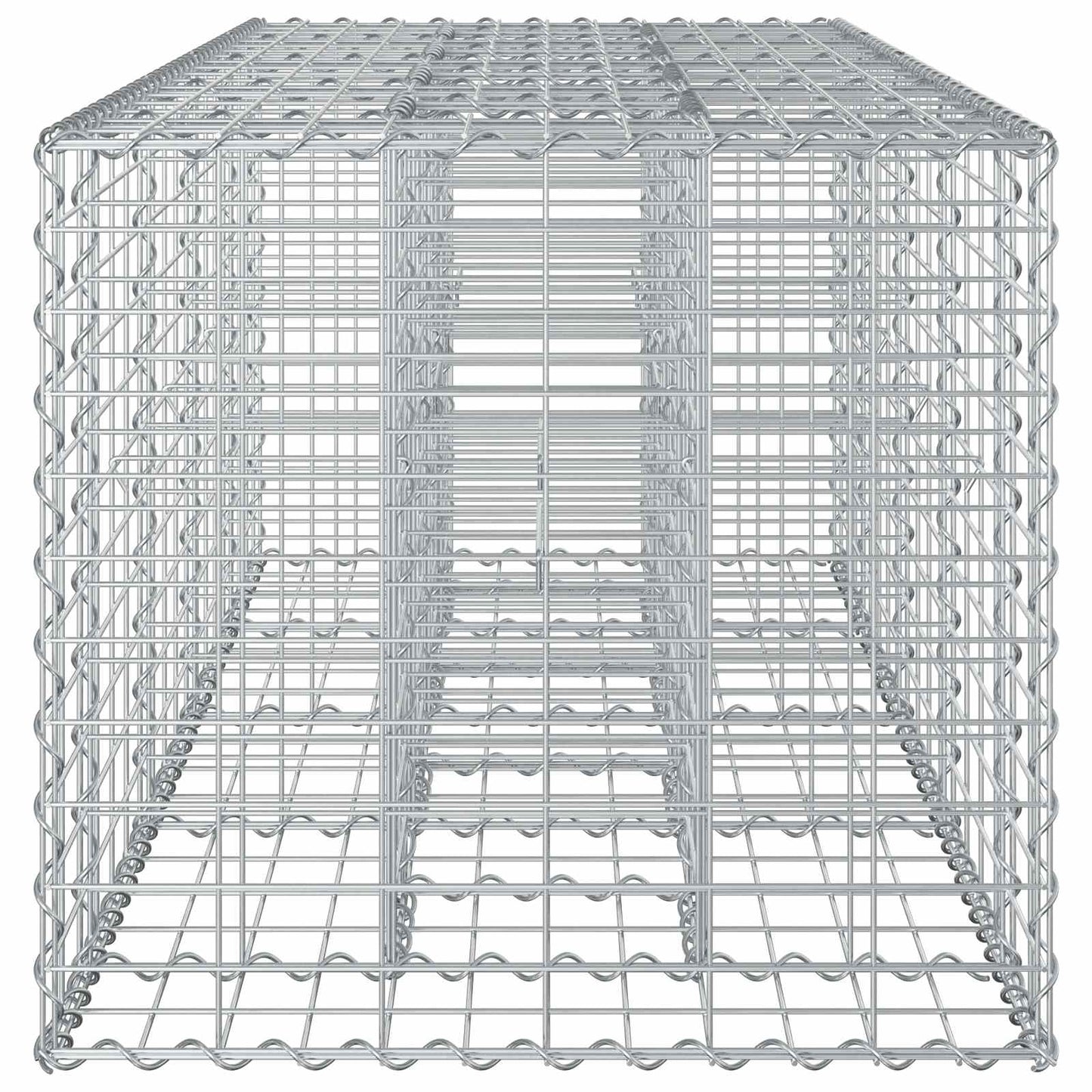 Gabion Verhoogd Bed Zilver 180 x 60 x 55 cm
