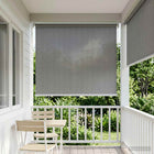 Buitenrolgordijn 90% UV-blok Lichtgrijs 60 x 230 cm HDPE
