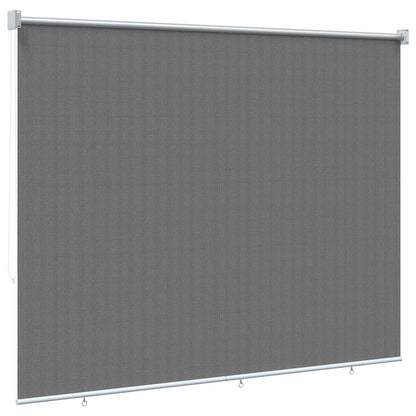 Buitenrolgordijn 90% UV-blok Lichtgrijs 220 x 230 cm HDPE