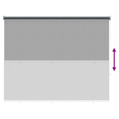 Buitenrolgordijn 90% UV-blok Lichtgrijs 220 x 230 cm HDPE
