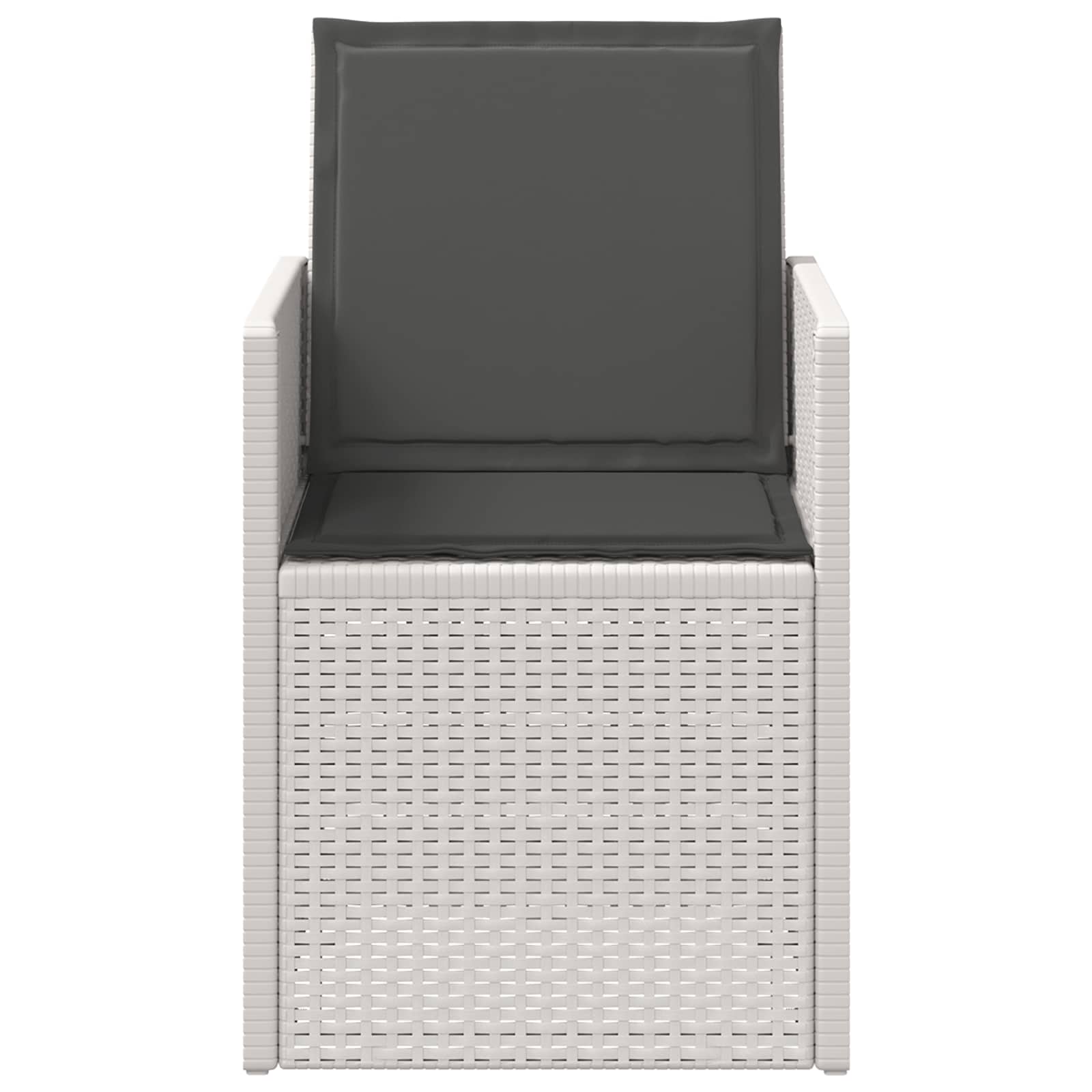 Tuin Eetstoelen 2 pcs Wit en antracietkleurig PP