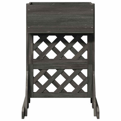 Verticale Tuin Trellis Grijs 48 x 30 x 70,5 cm