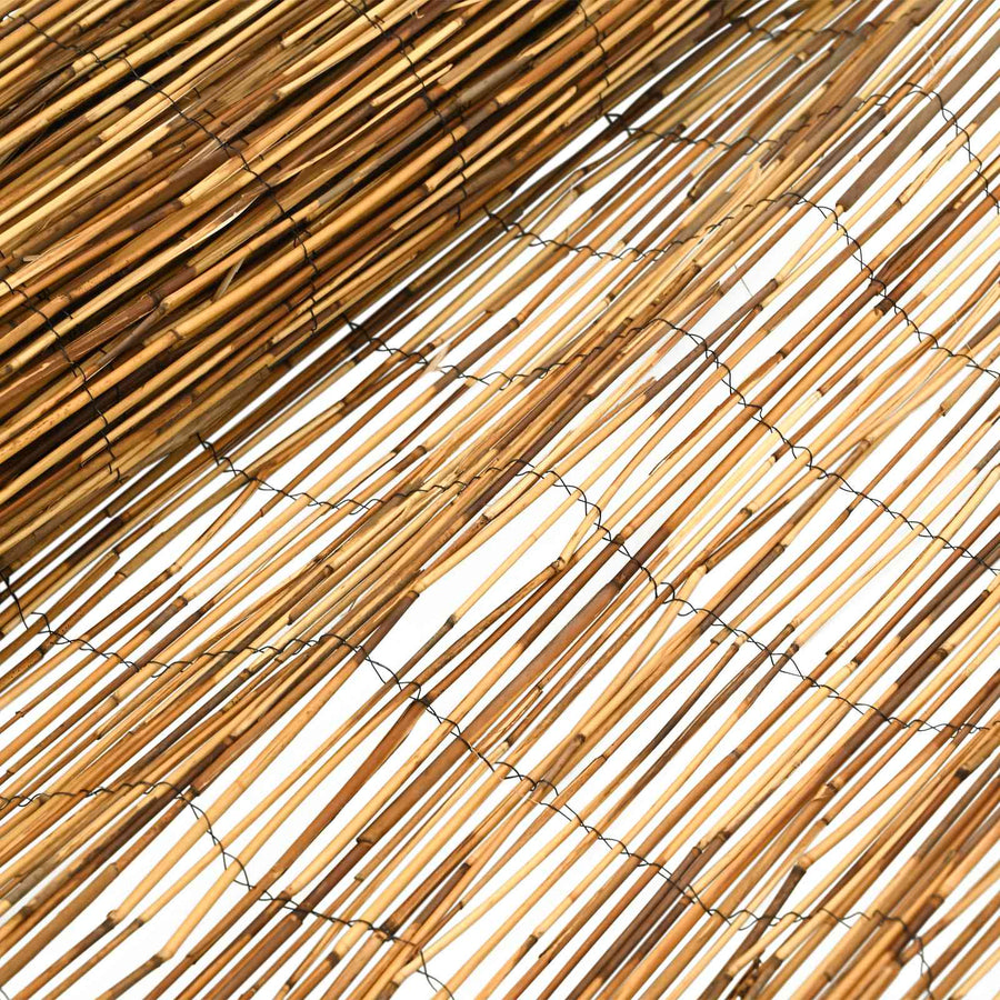 Tuinhek Gecarboniseerd riet 500 x 100 cm