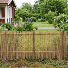 Tuinhek Geë carboniseerd 400 x 100 cm Riet