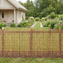 Tuinhek Geë carboniseerd 300 x 100 cm Riet
