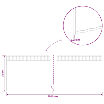 Gazonrand 10 m x 30 cm Gegalvaniseerd staal zilver