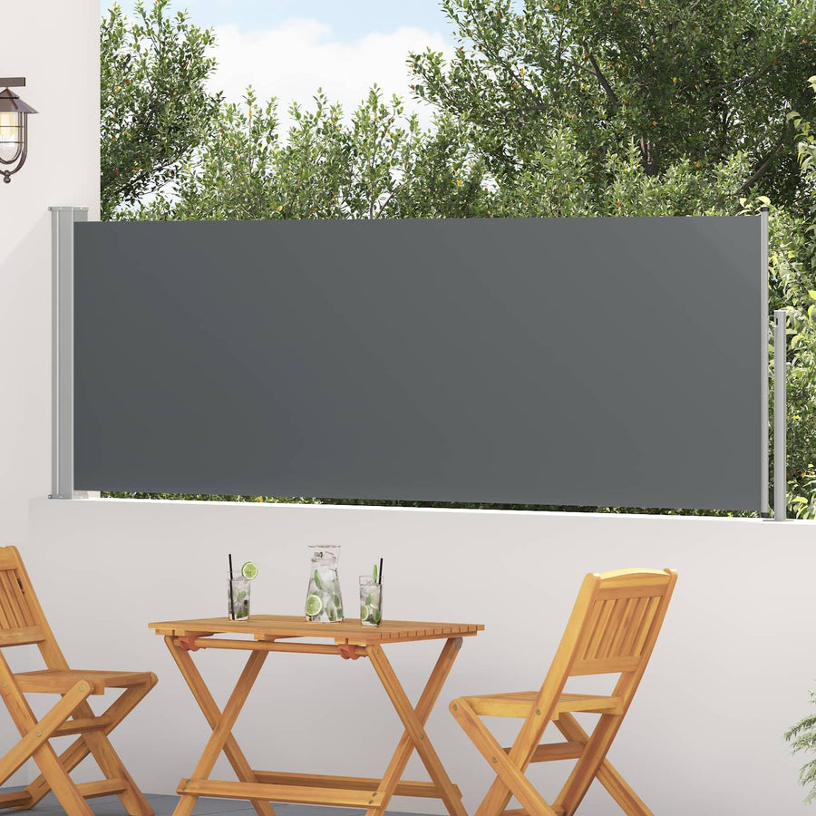 Uittrekbaar Zijscherm Antracietkleurig 300 x 100 cm Polyester