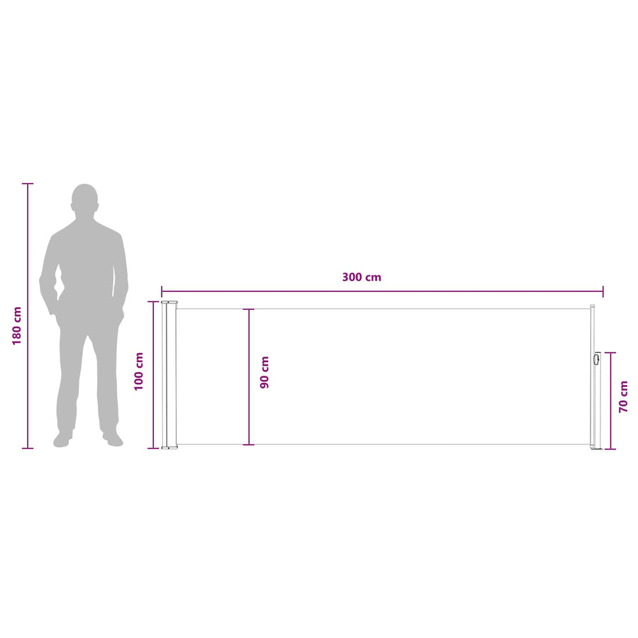 Uittrekbaar Zijscherm Antracietkleurig 300 x 100 cm Polyester