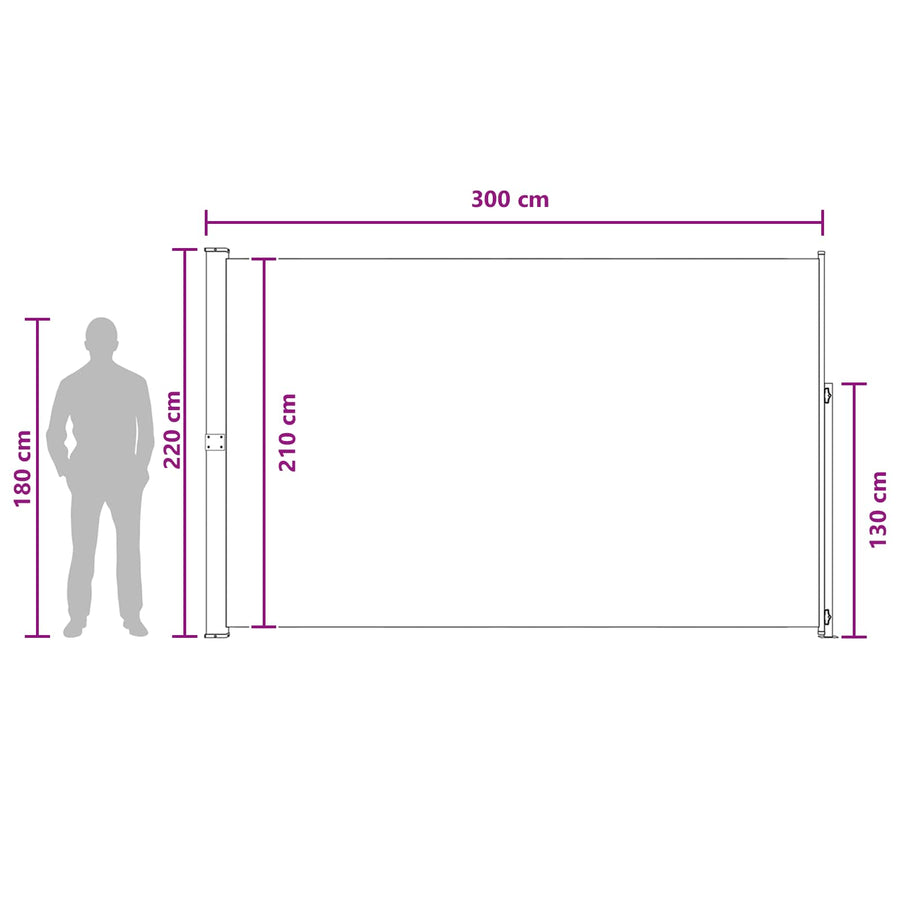 Uittrekbaar Zijscherm Antracietkleurig 300 x 220 cm Polyester