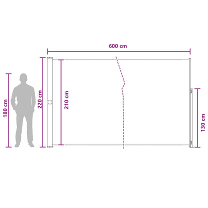 Uittrekbaar Zijscherm Antracietkleurig 600 x 220 cm Polyester